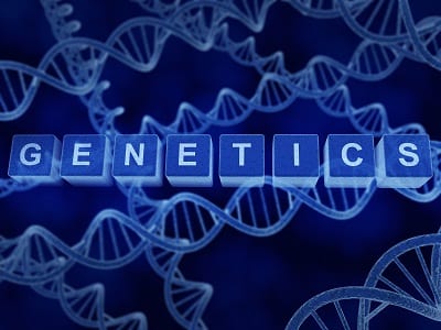 mesothelioma treatment genetic insights